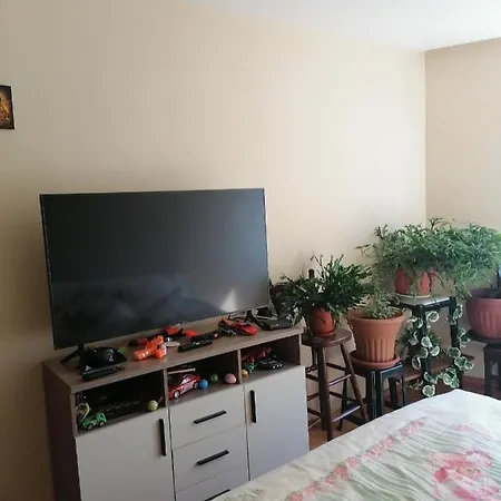 Iglika-1 * Золотые Пески