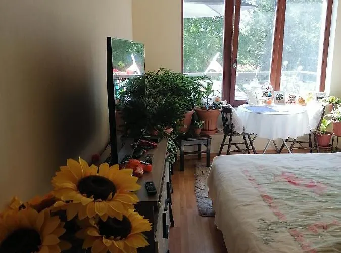 Iglika-1 Złote Piaski